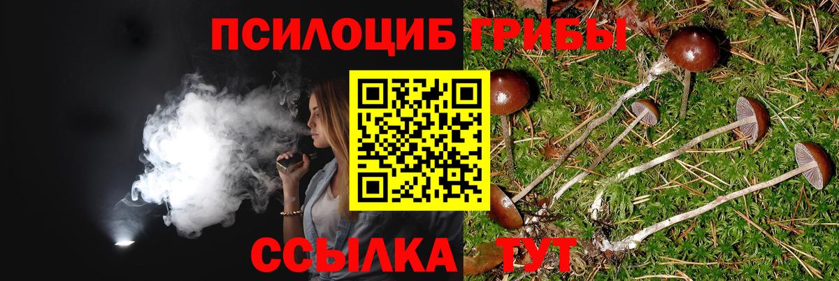 Галлюциногенные грибы Magic Shrooms Вольск